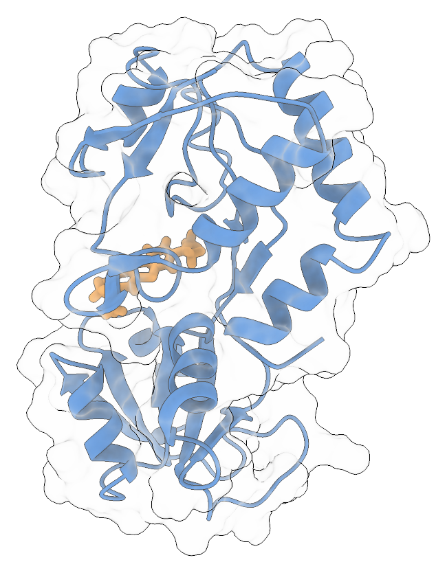 Ghost-ribbon render of the sensor protein in its on state